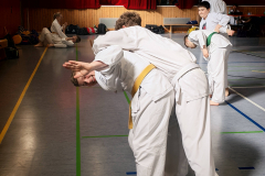 IMG_20250406_105601