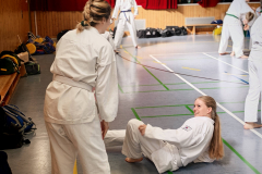IMG_20250406_105618