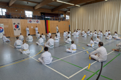 PXL_20250405_133302218