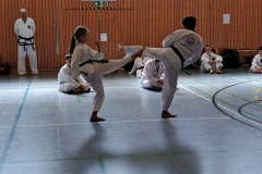 vlcsnap-2025-04-06-23h28m55s743