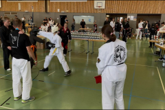 IMG-20250515-WA0012
