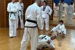 IMG-20251115-WA0013-2