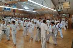 IMG20251115135018