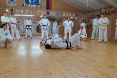 IMG20251115154750