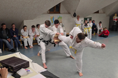 Foto2026-03-18-09h20m11s671