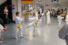 PXL_20260314_162948873