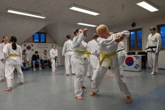 PXL_20260314_172252049