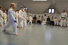 signal-2026-03-15-14-23-16-718-17