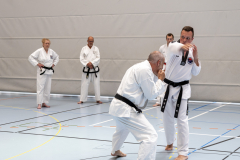 20260613_TKD Lehrgang Höchberg