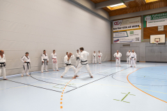 20260613_TKD Lehrgang Höchberg