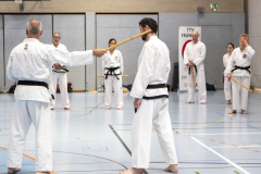 20260613_TKD Lehrgang Höchberg