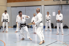 20260613_TKD Lehrgang Höchberg