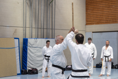 20260613_TKD Lehrgang Höchberg