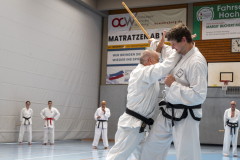 20260613_TKD Lehrgang Höchberg
