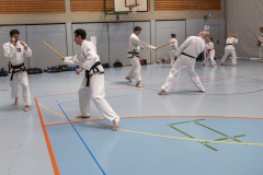 20260613_TKD Lehrgang Höchberg
