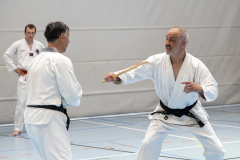 20260613_TKD Lehrgang Höchberg
