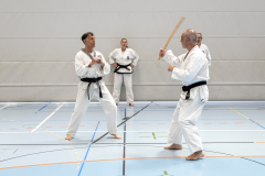 20260613_TKD Lehrgang Höchberg