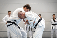 20260613_TKD Lehrgang Höchberg