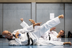 20260613_TKD Lehrgang Höchberg