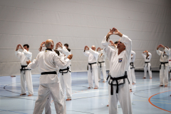 20260613_TKD Lehrgang Höchberg