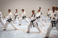 20260613_TKD Lehrgang Höchberg