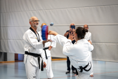20260613_TKD Lehrgang Höchberg