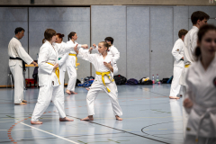 20260613_TKD Lehrgang Höchberg