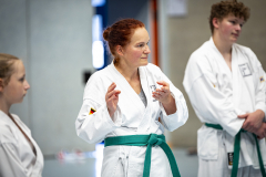 20260613_TKD Lehrgang Höchberg