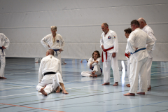 20260613_TKD Lehrgang Höchberg