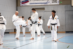20260613_TKD Lehrgang Höchberg