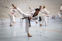 20260613_TKD Lehrgang Höchberg