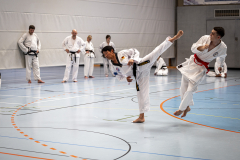 20260613_TKD Lehrgang Höchberg