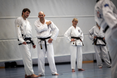20260613_TKD Lehrgang Höchberg