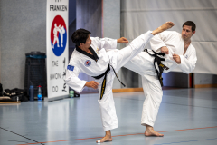 20260613_TKD Lehrgang Höchberg