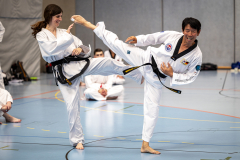 20260613_TKD Lehrgang Höchberg
