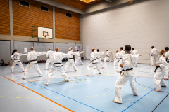 20260613_TKD Lehrgang Höchberg