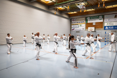 20260613_TKD Lehrgang Höchberg
