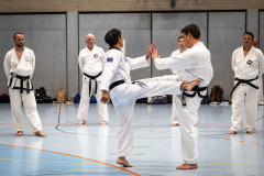 20260613_TKD Lehrgang Höchberg