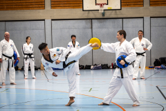 20260613_TKD Lehrgang Höchberg