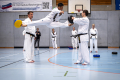 20260613_TKD Lehrgang Höchberg