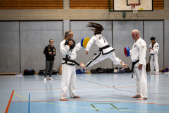 20260613_TKD Lehrgang Höchberg
